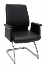 Pelle Visitor Chair